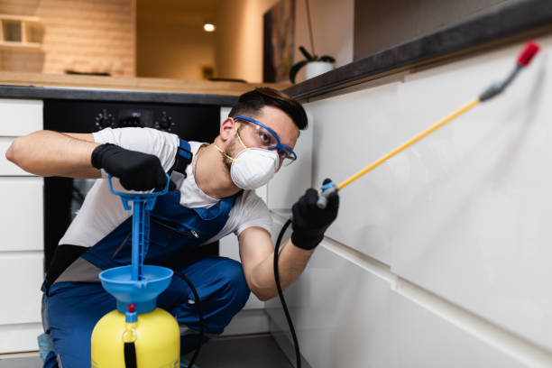 Best Mosquito Control Services  in Morgantown, KY
