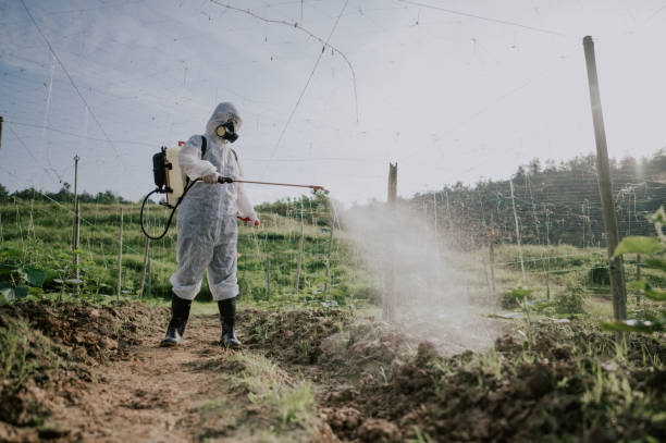 Best Affordable Pest Control Services  in Morgantown, KY