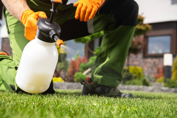 Best Cockroach Control Services  in Morgantown, KY