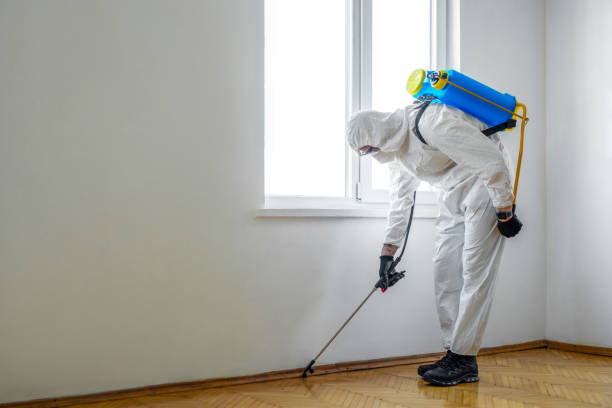 Best Best Pest Control Companies  in Morgantown, KY