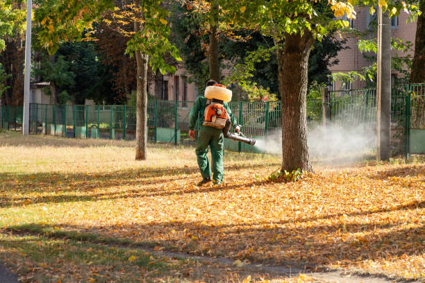 Best Cockroach Control Services  in Morgantown, KY