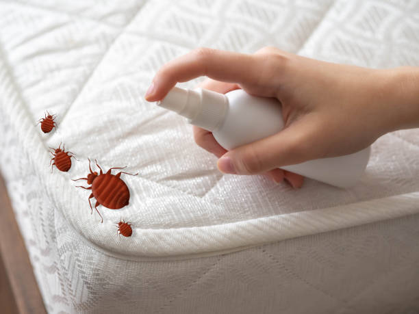 Best Pest Prevention Services  in Morgantown, KY